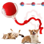 BOLA INTERACTIVA